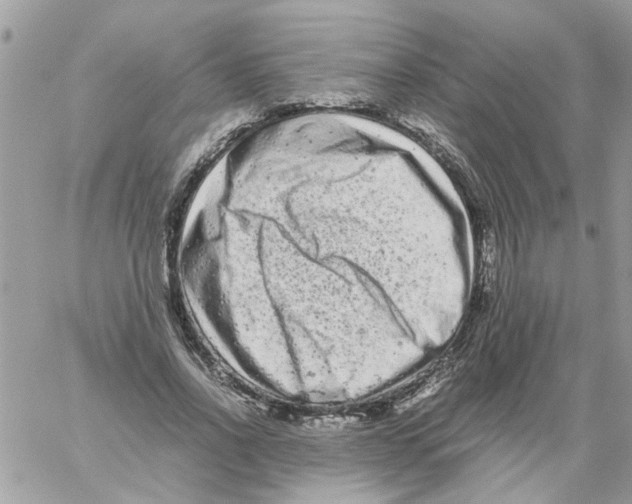 X0000061760734200512302303