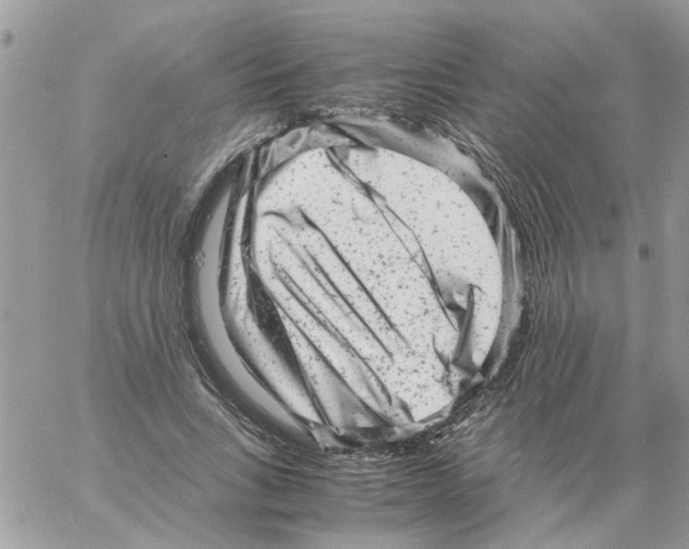 X0000061760735200512302303