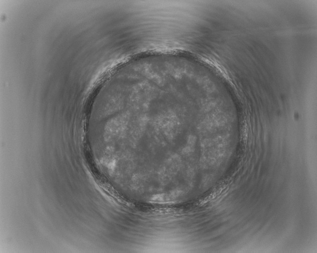 X0000061760736200512302303