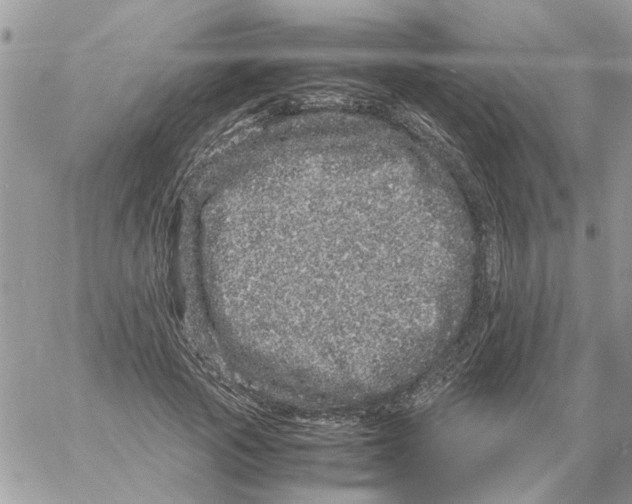 X0000061760737200512302303