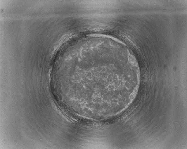 X0000061760738200512302303