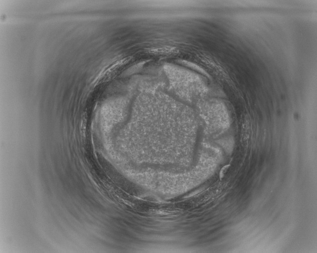 X0000061760739200512302303