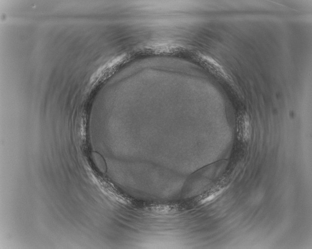 X0000061760740200512302303