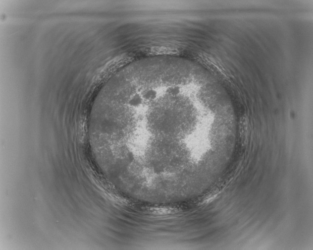 X0000061760741200512302303