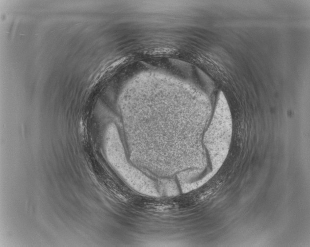 X0000061760743200512302303