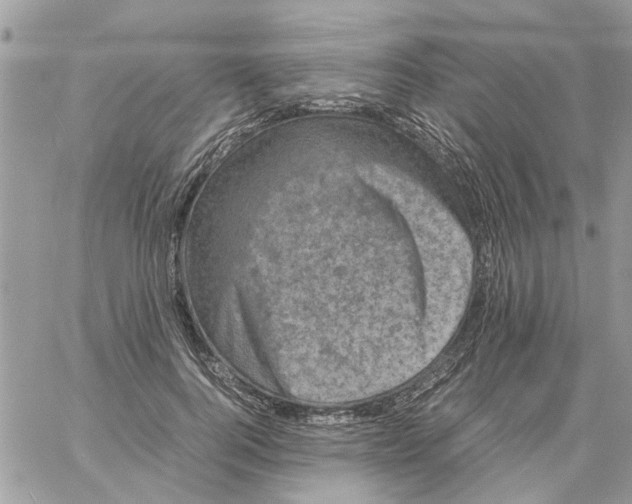 X0000061760744200512302303