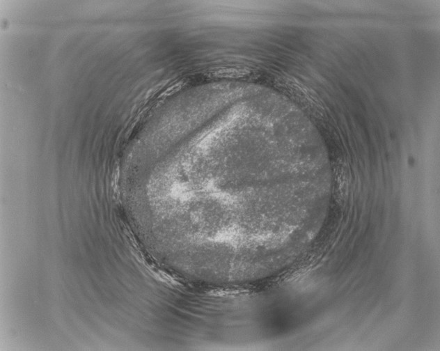 X0000061760745200512302303