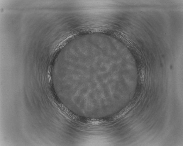 X0000061760746200512302303