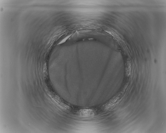 X0000061760748200512302303