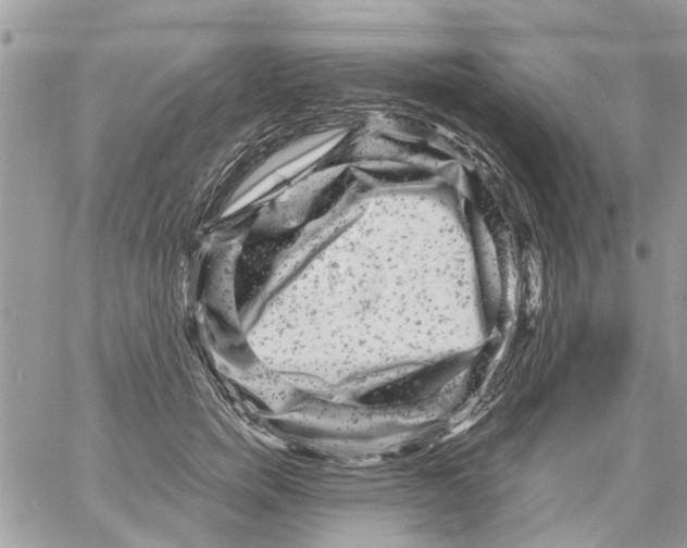 X0000061760750200512302303