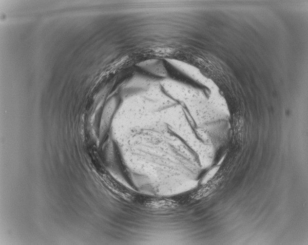 X0000061760752200512302303