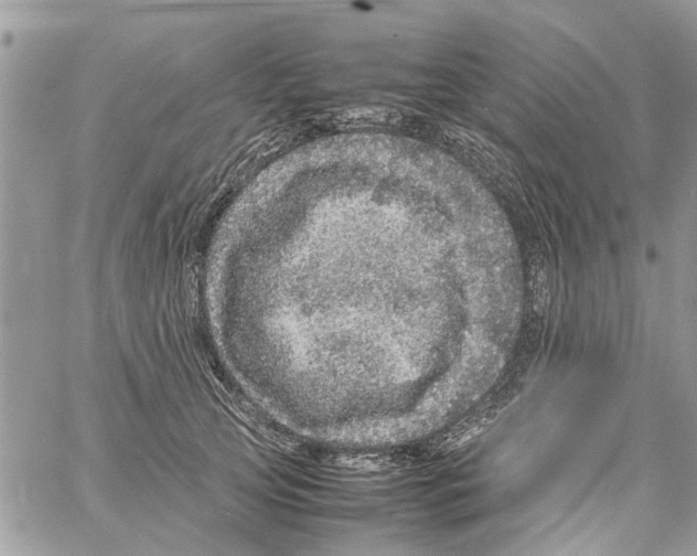 X0000061760753200512302303