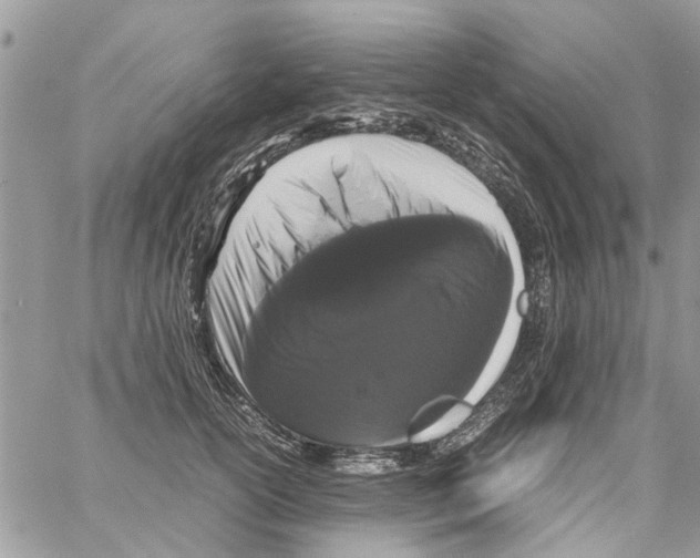 X0000061760754200512302303