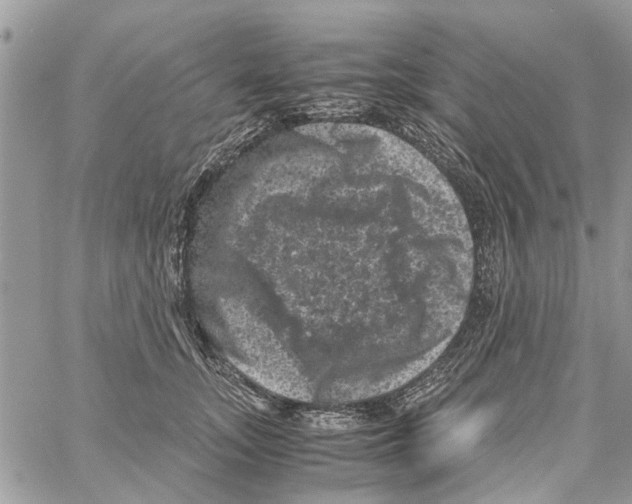 X0000061760755200512302303