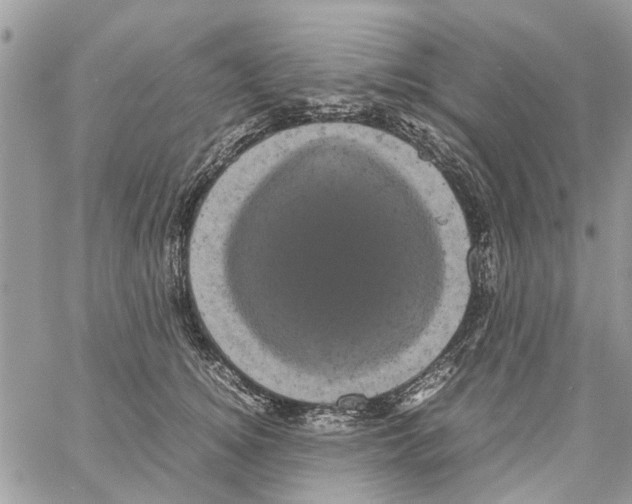 X0000061760756200512302303