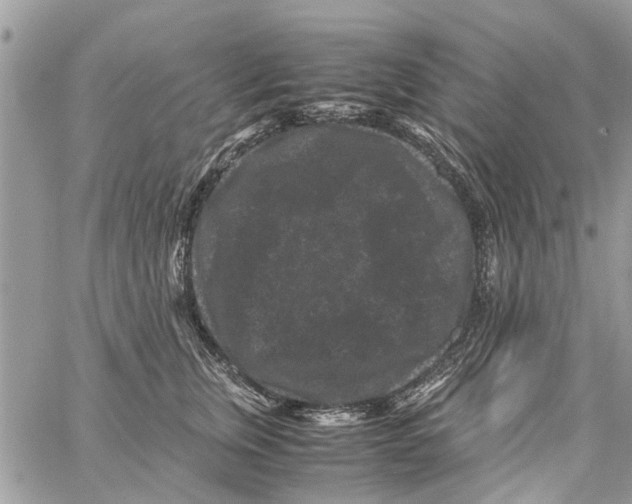 X0000061760759200512302303