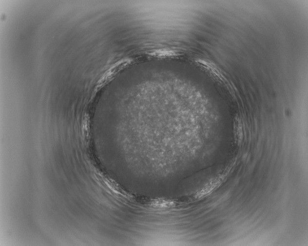 X0000061760760200512302303