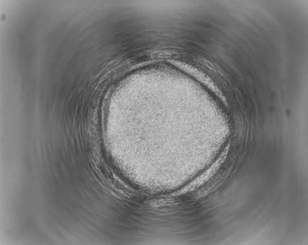 X0000061760761200512302303