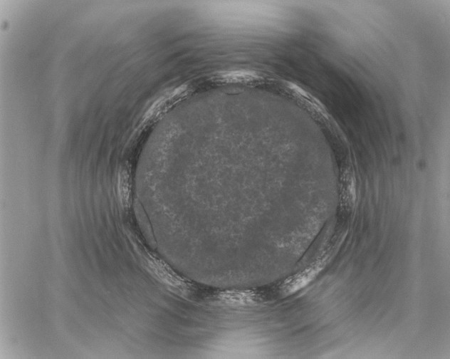 X0000061760762200512302303