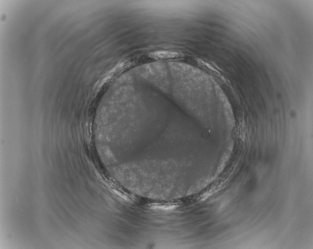 X0000061760763200512302303