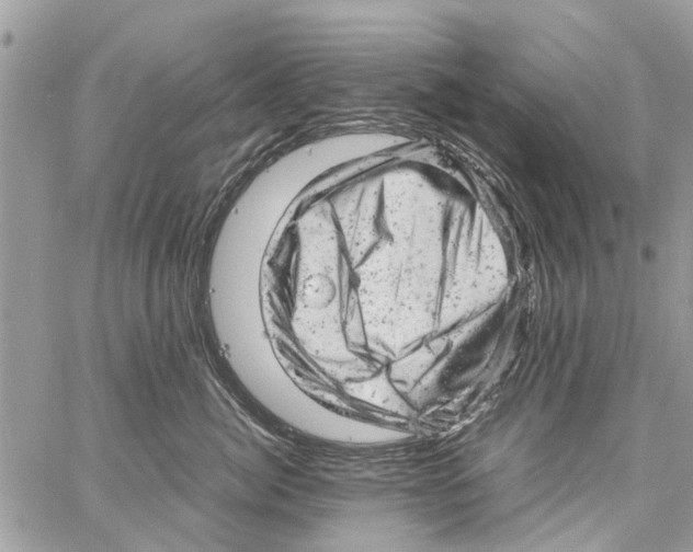 X0000061760764200512302303