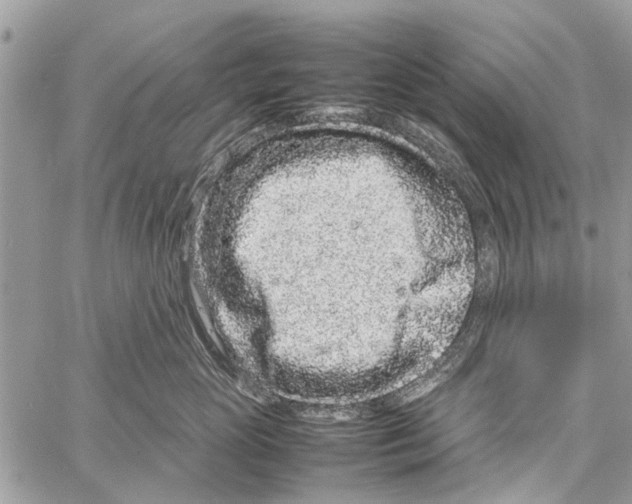 X0000061760765200512302303