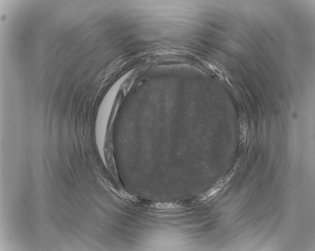 X0000061760766200512302303