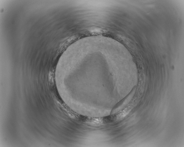 X0000061760768200512302303