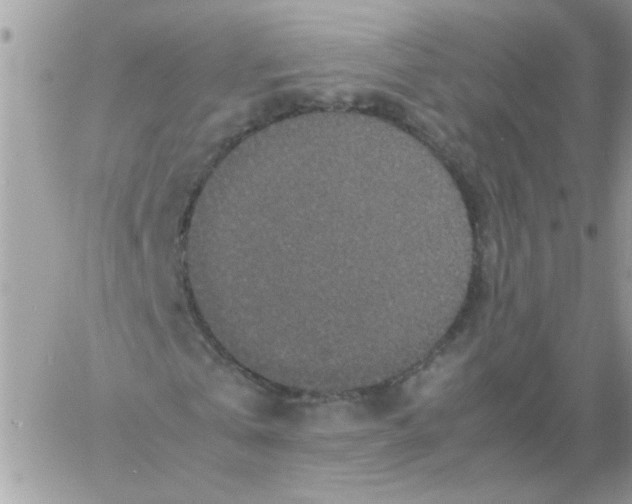 X0000061760769200512302303