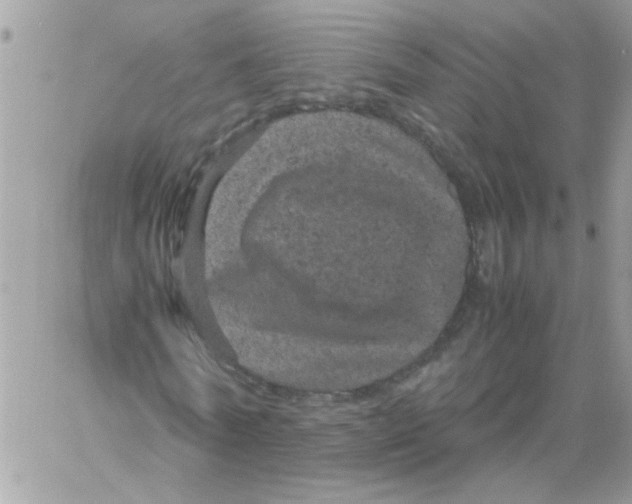 X0000061760770200512302303