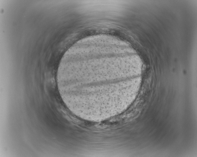 X0000061760771200512302302