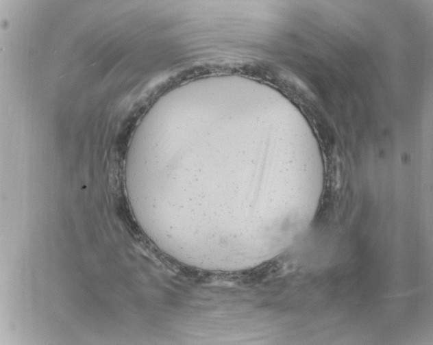 X0000061760773200512302302