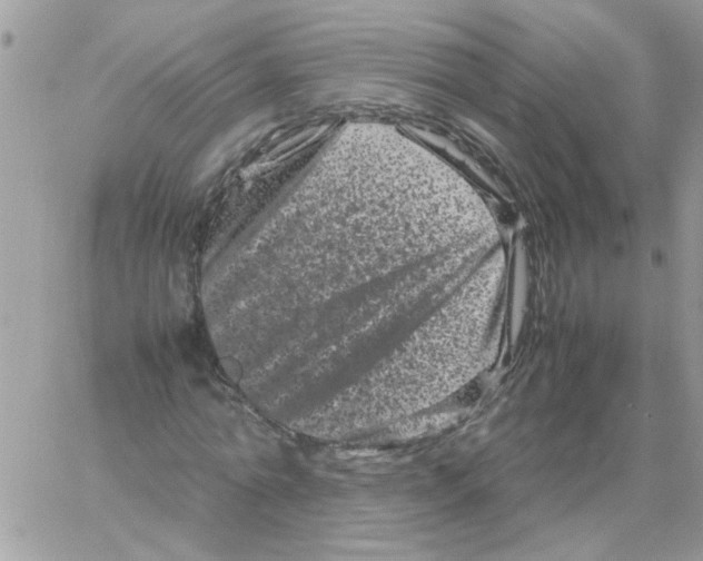 X0000061760774200512302302