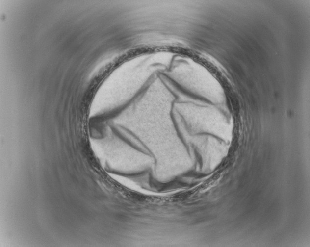 X0000061760775200512302302