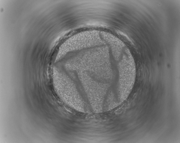 X0000061760776200512302302