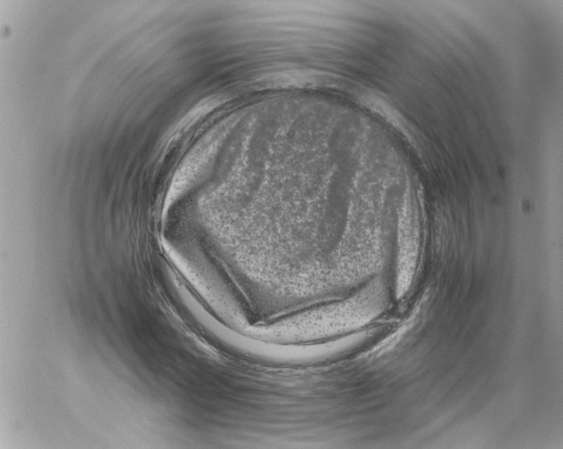 X0000061760778200512302302