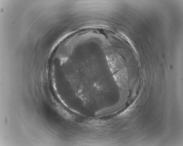 X0000061760779200512302302