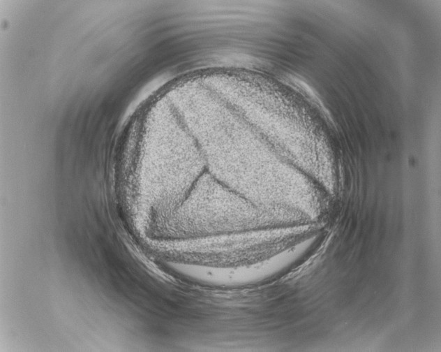 X0000061760780200512302302