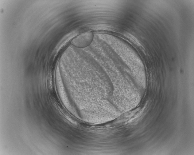 X0000061760782200512302302