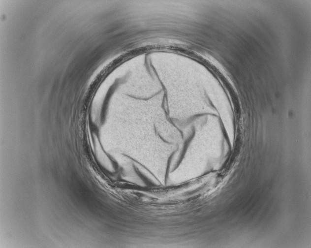 X0000061760783200512302302