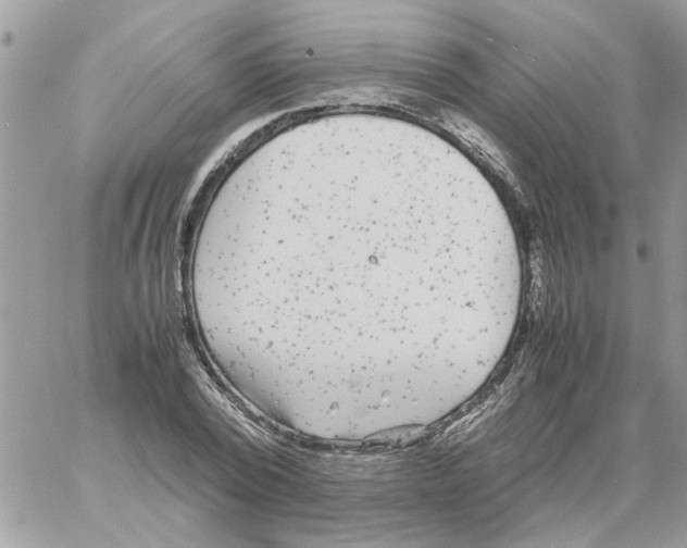 X0000061760784200512302302