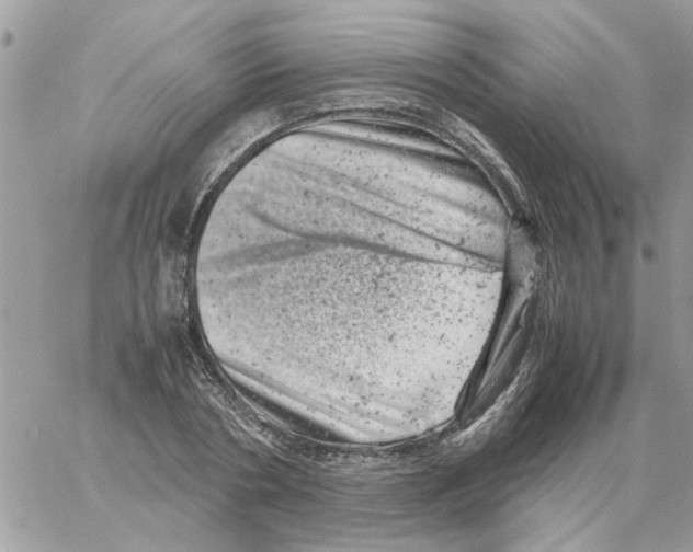 X0000061760786200512302302