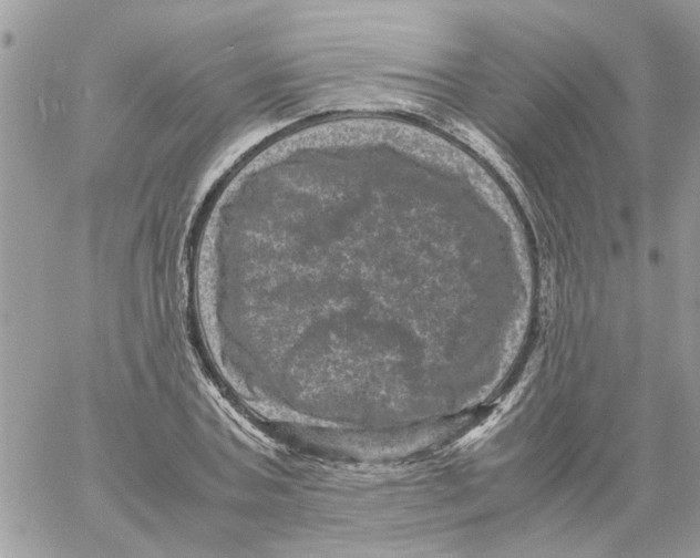 X0000061760787200512302302