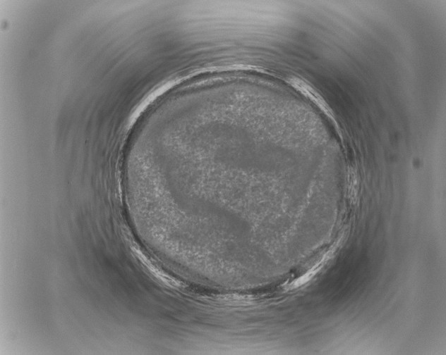 X0000061760789200512302302