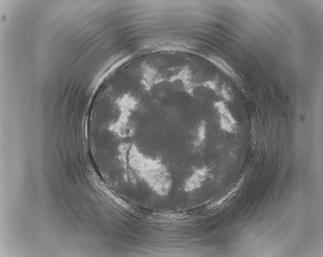 X0000061760790200512302302