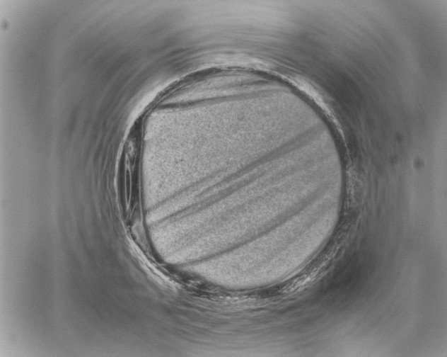 X0000061760791200512302302