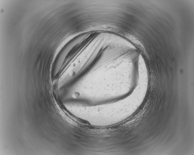 X0000061760792200512302302