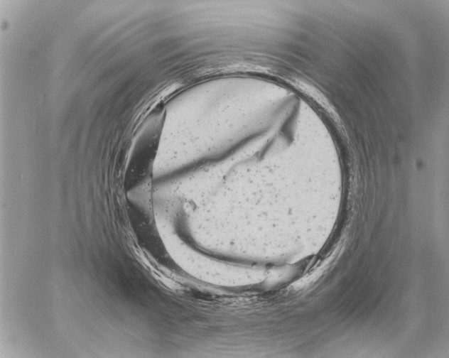 X0000061760793200512302302