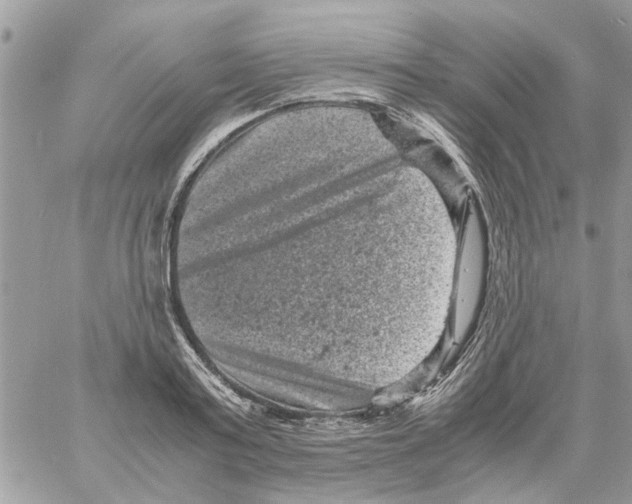 X0000061760795200512302302