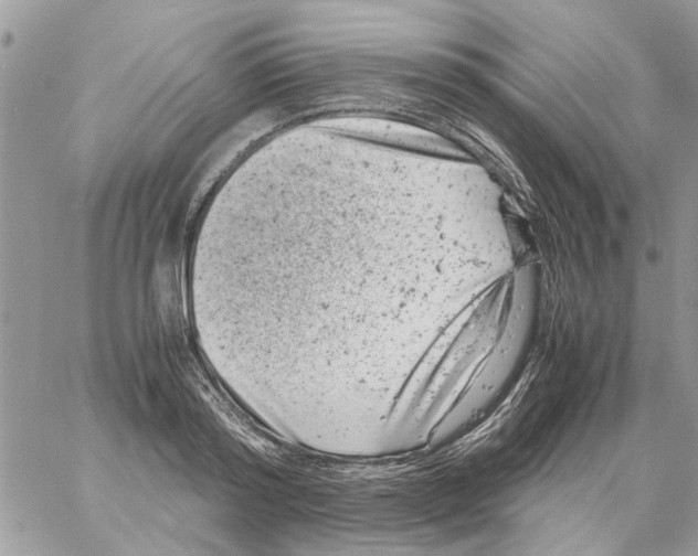 X0000061760796200512302302